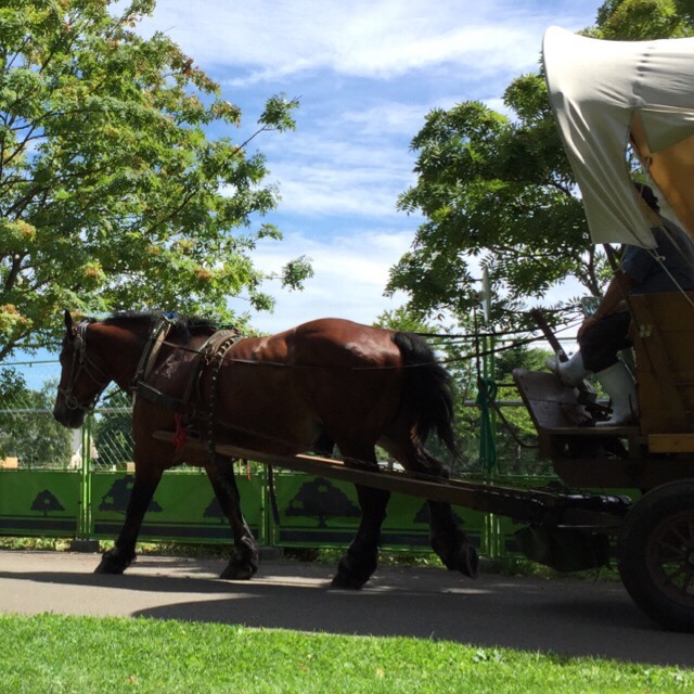 田川(吉田)  玲子