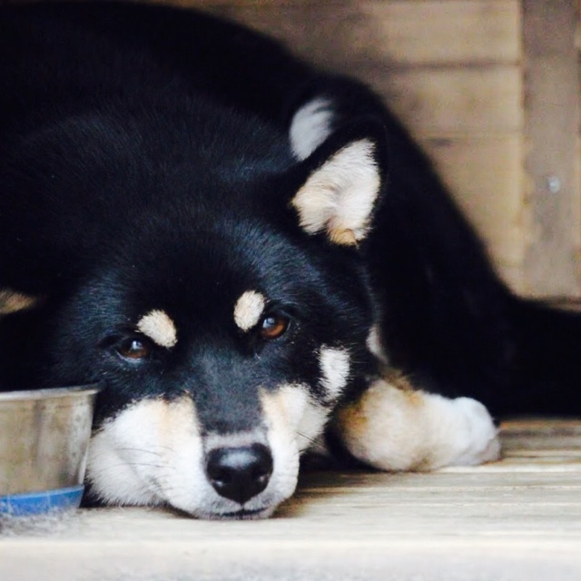 八太(清野)静香
