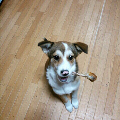 AUTOショップ RIKO