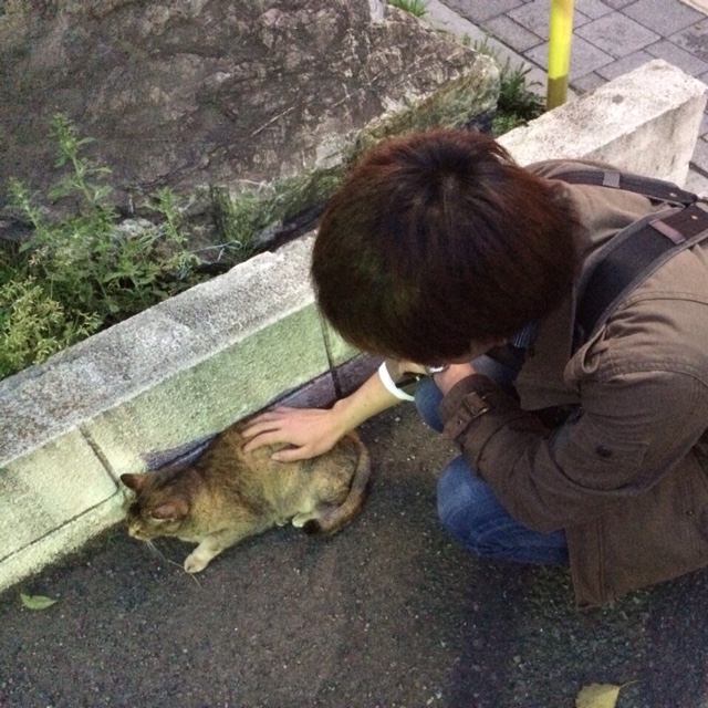 すがのひろき