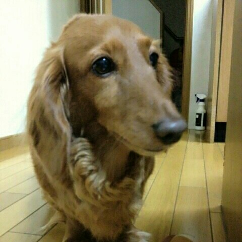 うっちー