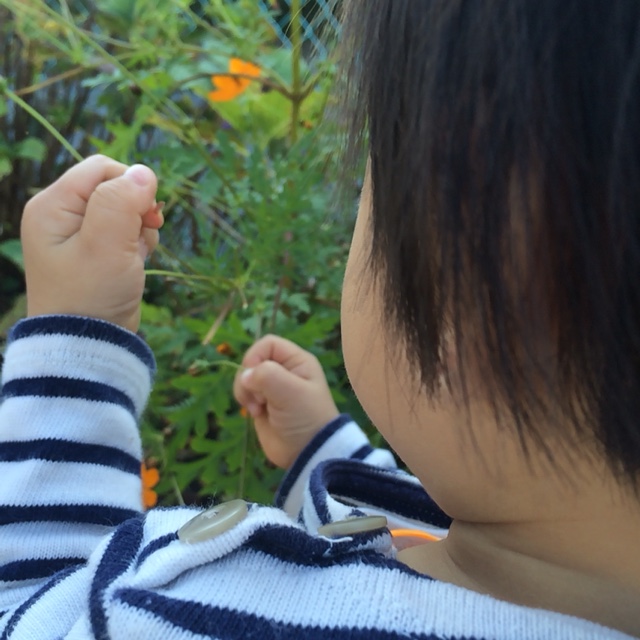 おざき　よしえ