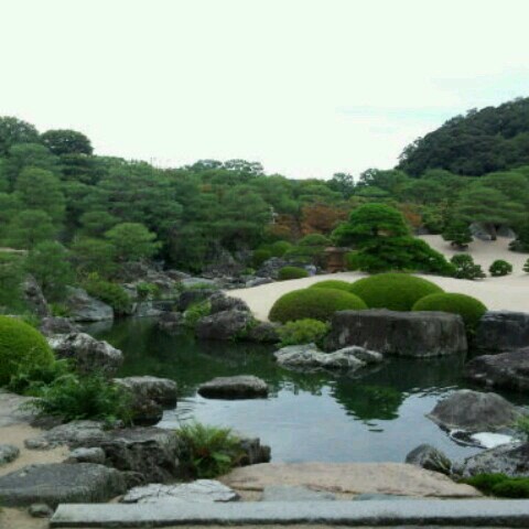 早紀子(山根.野沢)