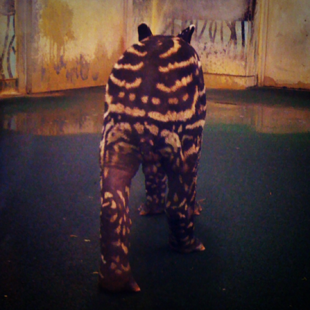 いのうえ　ようへ