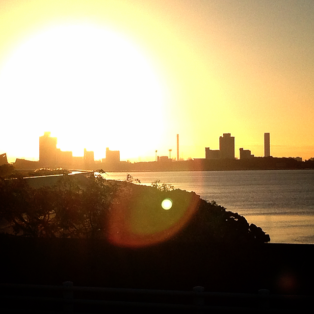 ブシ（藤田真人）