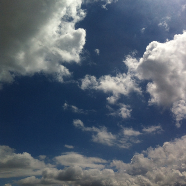 映萱 Bonnie的頭像