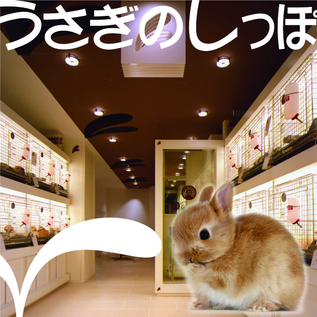 うさぎのしっぽ | LINE Official Account