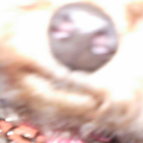 マロっち🐱まろにゃん🐾