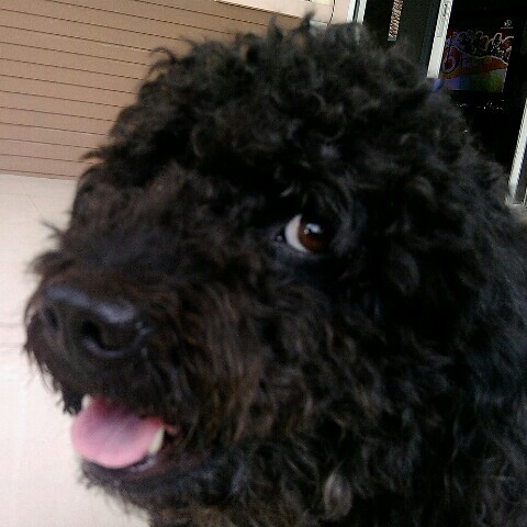 ปุ๋ย