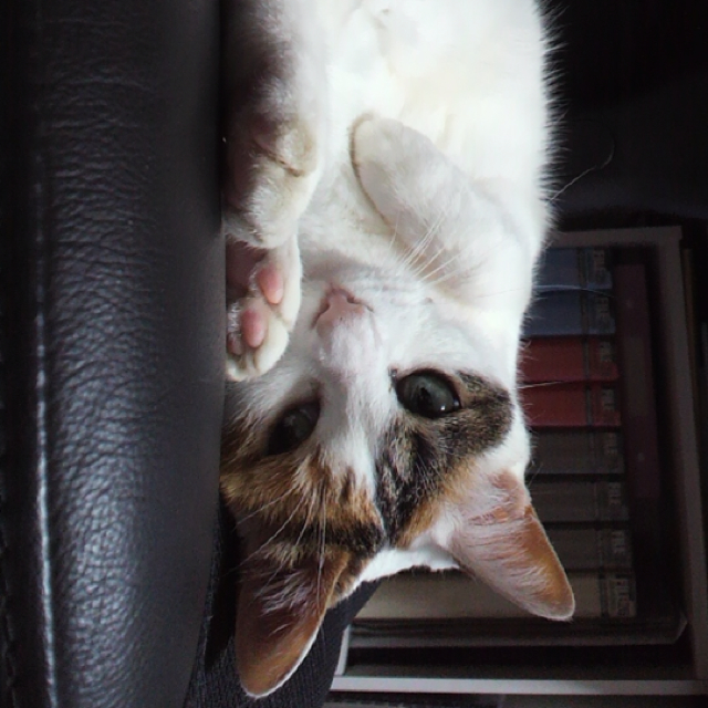 ☆*:.｡.Masako.｡.:*☆