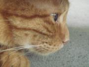 Sheree Chen的頭像