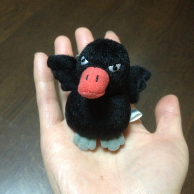 ちぇしゃ  /  ISO