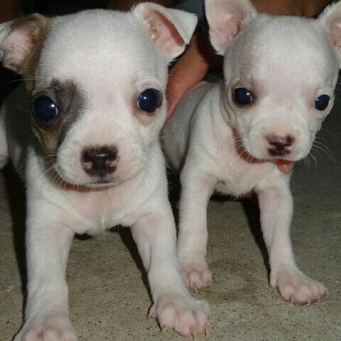 なるみ 仲間匠美