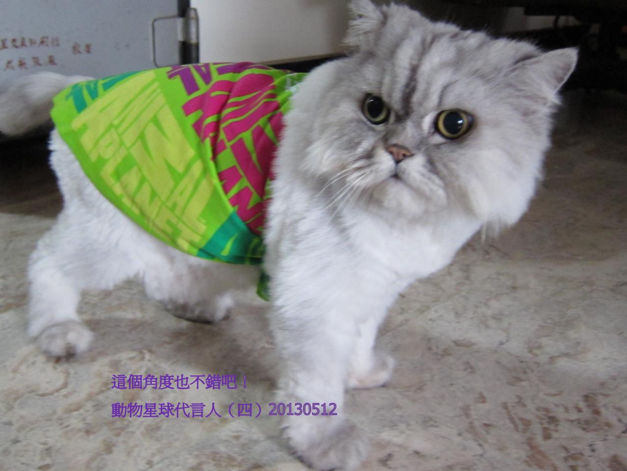 Chin-fang Lin錦芳的頭像