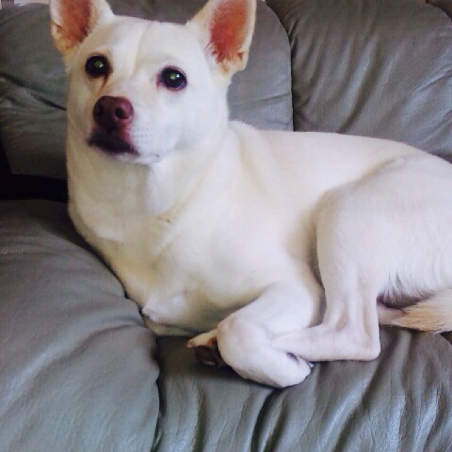 ゆきちゃんのママ