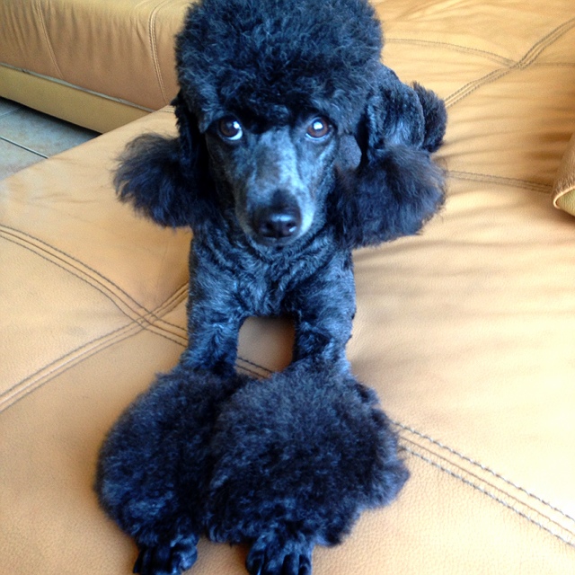 Ed 廖志賢的頭像