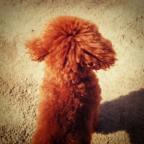 たきもとあけみ