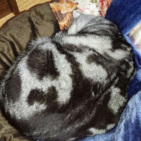 古屋(小坪)知佳