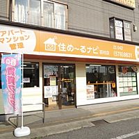 Show profile photo