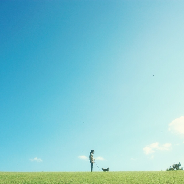 古美術　稲田屋