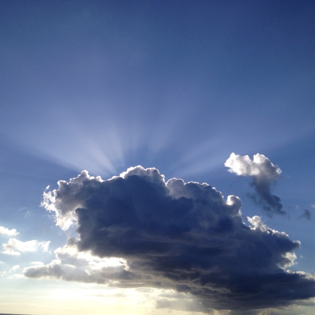 棚原毅（だんな）