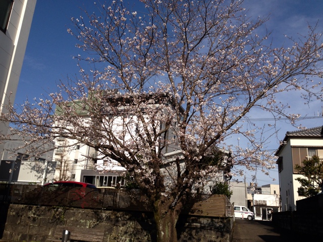 延岡自伐型林業研究会