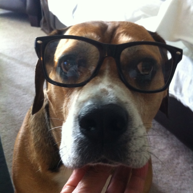 Shuji Toast Hiyakawa