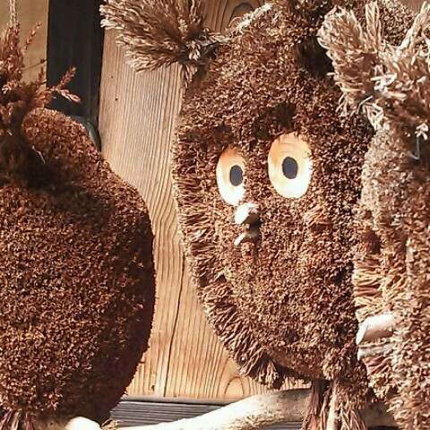 Atsushi SAITO HAYASAKA