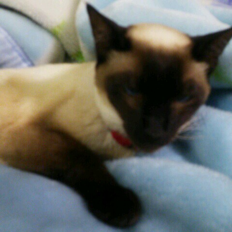 自治労滋賀県職員労働組合