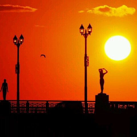 ･*.ﾟ｡みほ｡ﾟ.*･