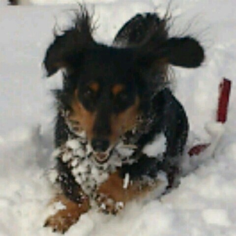 小野　　　早苗