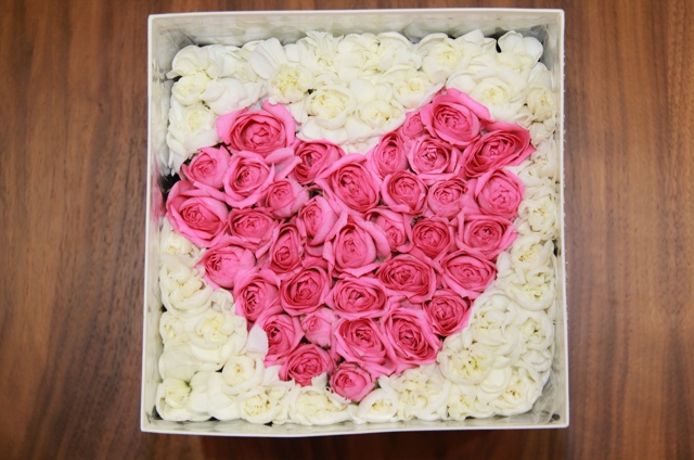 わっしー（ほりうち）