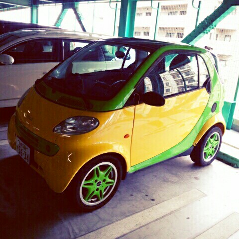 momoko　Aoi・kairi