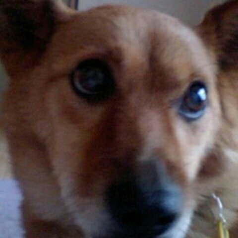 ともちゃん(^-^)