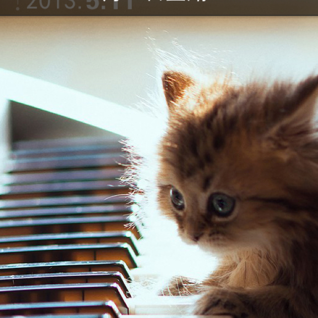 王瓊媛