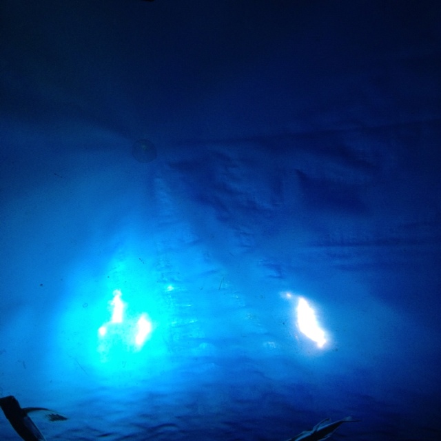 上鶴ボーマン麻夕子