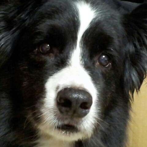 そこらへんのゆうじ