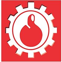 Show profile photo