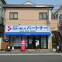 Show profile photo