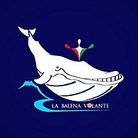Show profile photo