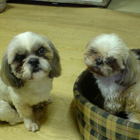 あっちゃんばあちゃん