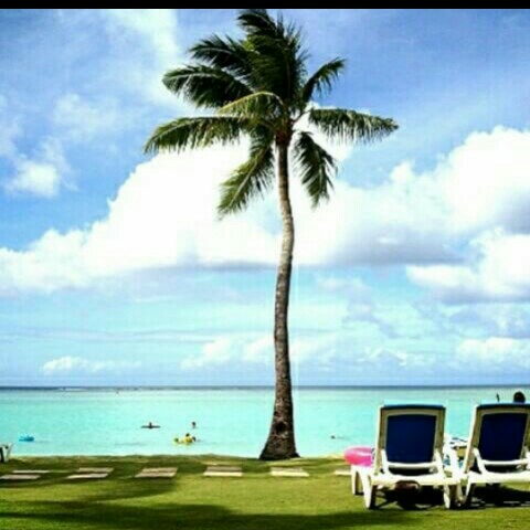 MASAKAZU　YOSHIKAWA