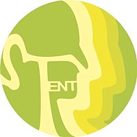 Show profile photo