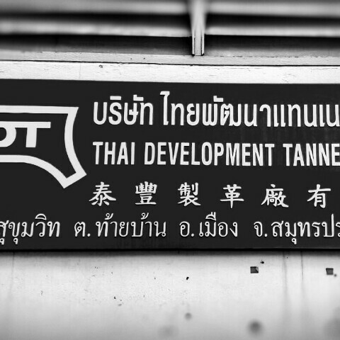อุษา