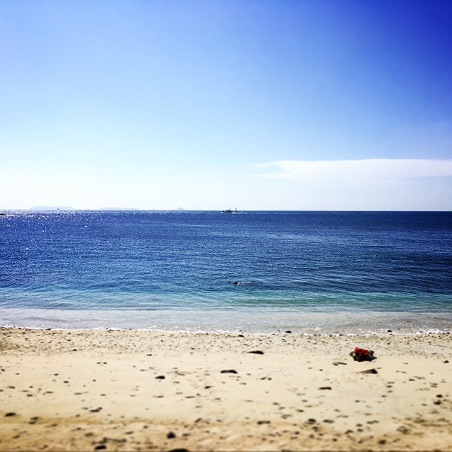 Gina ( ●—● )的頭像