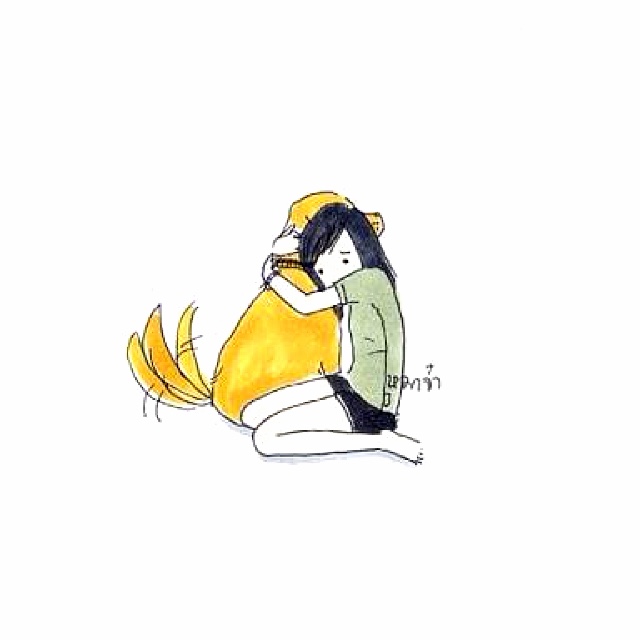 ฟร้อง
