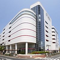 Show profile photo
