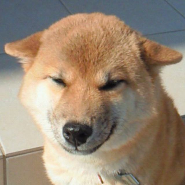 しらかわ