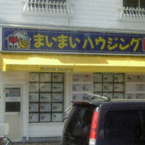 植村麻衣(横山)