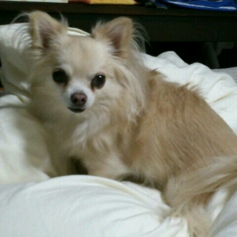 美容室Skip 木島香津美